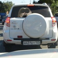 Тайные знаки повсюду
