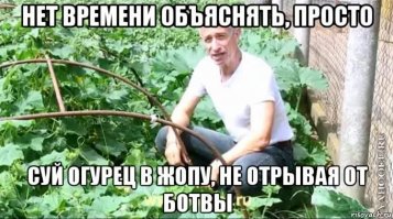 Супер-идея выращивания огурцов в бочке!