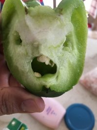 Фотоподборка за 04.04.2017