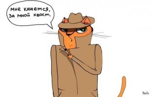 Некоторые понимают всё слишком буквально