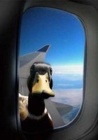 давай давай братан, потом хрен отвяжешься ..