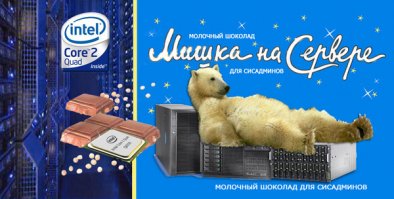 Медведь с ноутбуком в зубах удивил очевидца