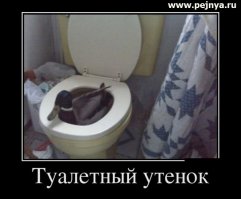 Спустя время.