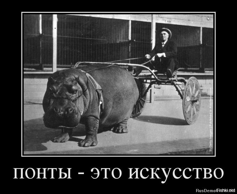 Долгое время,считал так же, глядя на важные выражения лиц у людей владеющих вещами скажем так.. не по средствам. Это была не зависть или осуждение,скорее не понимание: Зачем? Чего ради? Что это даст? По ходу пьесы у меня появлялись подобные вещи,на некоторые я тратил практически последние деньги,и со временем понял вот что.,людям важно заявить о себе,о своем Я другим людям и каким-либо способом выделиться из общей массы. Ну не дал допустим человеку бог таланта,а он хочет красиво пожить и что теперь? Всех выскочек за 101 километр ?))) Как итог: У человека 1 Жизнь и он имеет право прожить её так ,как считает нужным.Дворником скромнягой или пафосным мажором - его право. Осуждать,давать оценки этому-не уважать прежде всего самого себя. Спасибо. И вот такое фото в коллекцию псто. )