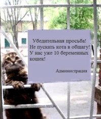 Креативные объявления!