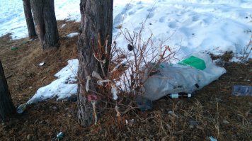 Сегодняшнее свежее фото снятое в парке. На нем видно, что Тот кто мусорит- активно предохраняется. Так что есть надежда что быдло-свиньи переведутся естественным путем.