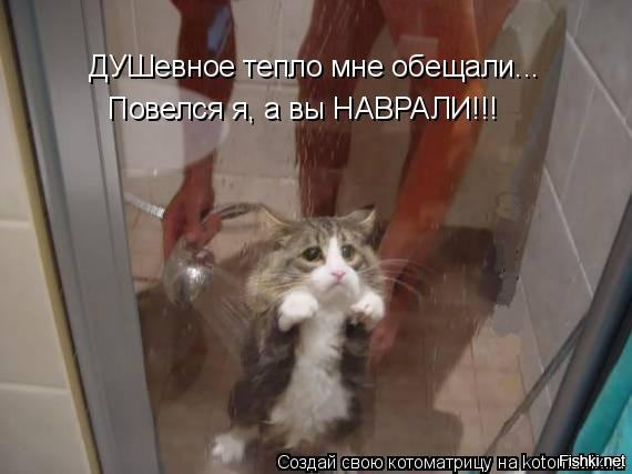 Ну что будем делать, Игорян?