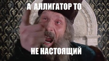 Эти люди готовы на все ради селфи!