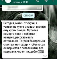 Нашествие термитов в Кении