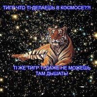 В  самый ответственный момент, в голове происходят странные вещи