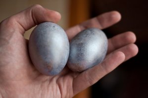 Суровый китайский мастер Кунг-Фу