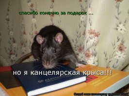 Обычная канцелярская крыса этот коп :)