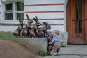 Самые знаменитые памятники животным всего мира