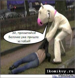 «У тебя есть что-то для меня, мистер?» В Англии в городском парке засняли редкую белку-альбиноса