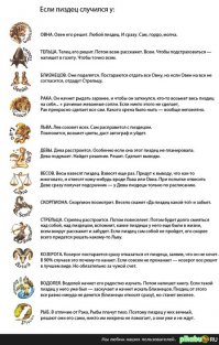 Гороскоп в нашей жизни, или звёзды решают всё!