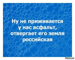 Дочь бывшего главы Саратова раскритиковали за фото Porsche и жалобу на плохие дороги