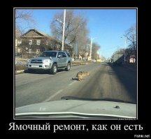 Дочь бывшего главы Саратова раскритиковали за фото Porsche и жалобу на плохие дороги