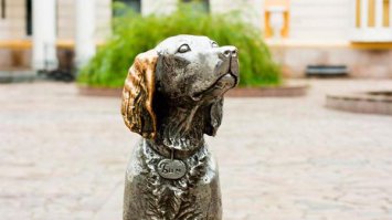 Земляки-воронежцы, вы чего? Коня вспомнили, котёнка -- тоже, но как же Бим??