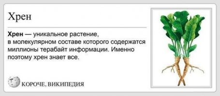 Растения также живые существа