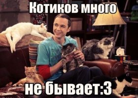 Когда простая любовь к животным превращается в маниакальную зависимость