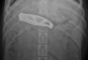 Нож прям как у меня