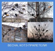 Весна идет — весне дорогу!