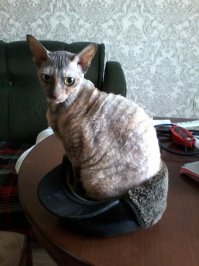 если нет коробки)))))