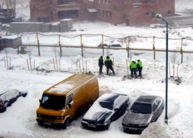 Глупость зачастую бывает из-за незнания. Зимой тоже сажают деревья.