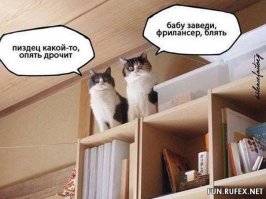 Очень странные фотографии, на которых полно неожиданных деталей