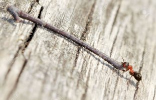 Транспортировка Лопастей для Ветряков