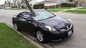 Лет 10 назад в Питере был небольшой шторм и упало одно дерево. И по несчастью оно упало на машину где сидел сотрудник нашей фирмы, который погиб на месте.