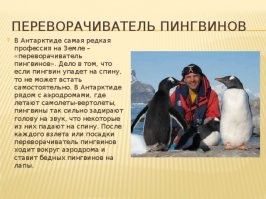 ТОП-10 способов разбогатеть на работе для ленивых