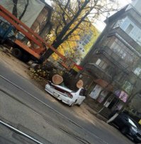 Это не Россия. Хотя дураков везде хватает.