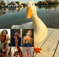 Немного прикольных картинок из сети