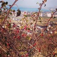 Анапа