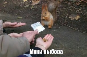 Фотоподборка за 06.04.2017