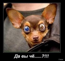 Опасное фото модных путешественников над пропастью оказалось обманом