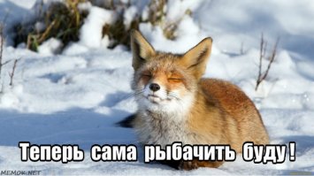 В Башкирии лиса украла у рыбаков удочку‍