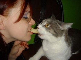 55 животных, чья наглость не знает границ