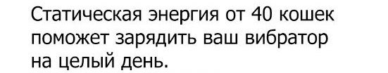 В помощь сильным и независимым: