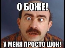 Неожиданная находка в аэропорту Бейрута шокировала зоозащитников