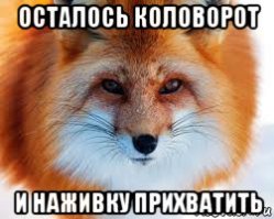 В Башкирии лиса украла у рыбаков удочку‍