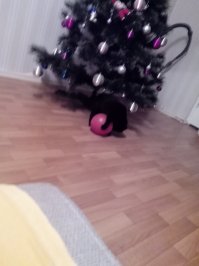 За секунду до ....