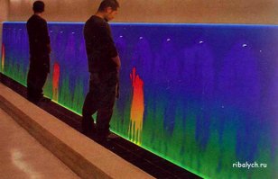 Самые необычные туалеты в мире