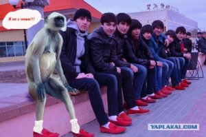 Когда понты дороже денег