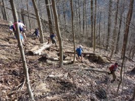 10 июня 1977 года James Earl Ray убийца Martin Luther King с шестью другими заключенными совершил побег из тюрьмы, но уже 13 июня был пойман полицией. За 55 часов проведенных на свободе Ray смог преодолеть только 13 километров по горным лесам близ городка Petros (Tennessee) где находилась тюрьма в которой он отбывал наказание.

На что, тогда еще молодой, Gary Cantrell воскликнул - "Я бы мог за это время сделать по меньшей мере 100 миль!". Так и родился Barkley Marathons - одна из самых трудных и безумных гонок в мире!

Трасса гонки не маркирована. Ее маршрут меняется каждый год и объявляется лишь за день до старта. Карта и компас вот и все, что предлагается участникам. По ходу гонки участники должны пройти от 9 до 13 контрольных точек (количество меняется каждый год), на которых найти книги и вырвать из каждой страницу соответствующую стартовому номеру участника. Страницы нужно будет затем предьявить по завершению круга. Никаких пунктов питания, только два пункта с водой на каждом круге. Лимит времени 60 часов на гонку или 12 часов на каждый круг.

Набор высоты на 100 миль колеблется то 16 500  до 20 500 метров. 

После прохождения каждой петли направление гонки меняется. В итоге 2 из 5 петель участники преодолевают в темноте. Гонка проводится в конце марта или начале апреля каждый год. Количество участников ограничено 40 бегунами

Первое и самое сложное с чем сталкиваются участники это холод (иногда до  -10 С) и высокая влажность (дождь). 

С первого старта гонки, который прошел в 1986 году, полностью закончить дистанцию и выполнить все требования организатора сумели лишь 14 бегунов из более чем 1200 участников за 30 лет. Некоторые из них, например как Jared Campbell (3 финиша) или Brett Maune (2 финиша), сумели финишировать несколько раз. Всего за историю гонки было только 17 успешных финишей!

Brett Maune принадлежит с 2012 года текущий рекорд гонки - 52 часа 3 минуты и 8 секунд.