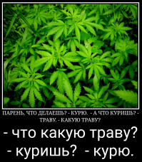 Говорящий цветок, внезапно обнаружили!!! Ну-у ну.