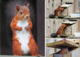 Подборка забавных и интересных фото (часть 3)