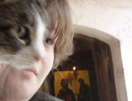 Внезапные коты