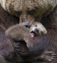 Эта вааще шедевр!